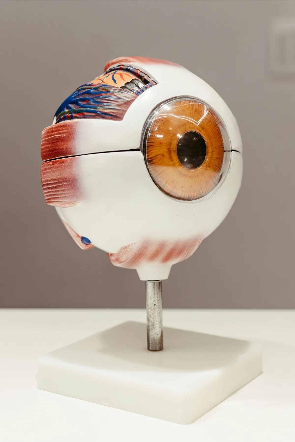 https://eyeservices.gr/wp-content/uploads/2025/04/eyeservices-exoplismosiatreiou2.webp