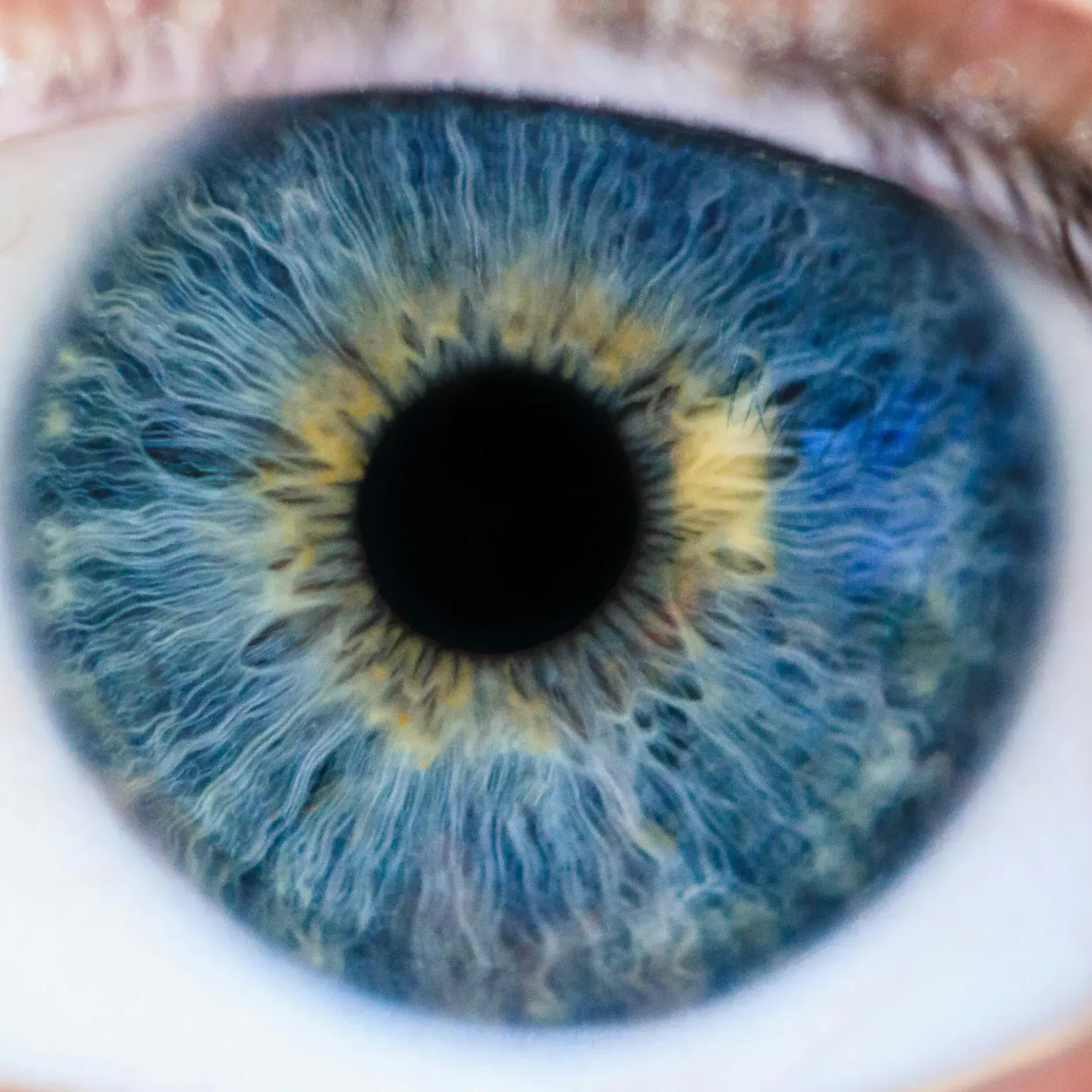 https://eyeservices.gr/wp-content/uploads/2025/05/eyeservices-iris-1.webp